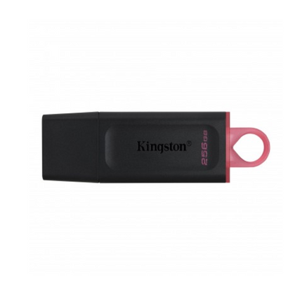 Memoria USB Kingston Technology DTX/256GB 256 GB