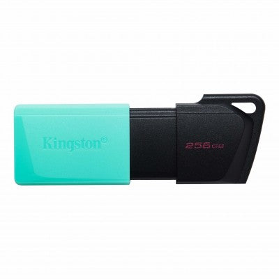 Memoria USB Kingston Technology DTXM/1256GB USB